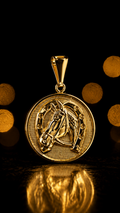 Pingente medalha ferradura M